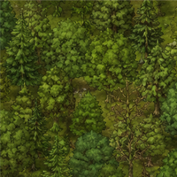 Metsä